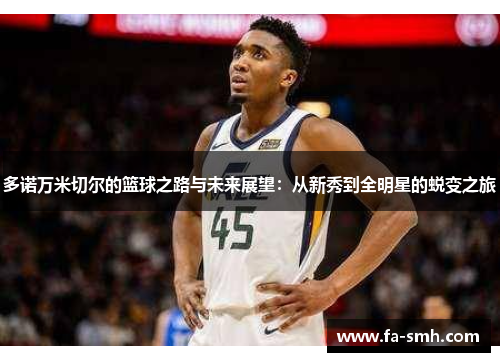 多诺万米切尔的篮球之路与未来展望：从新秀到全明星的蜕变之旅
